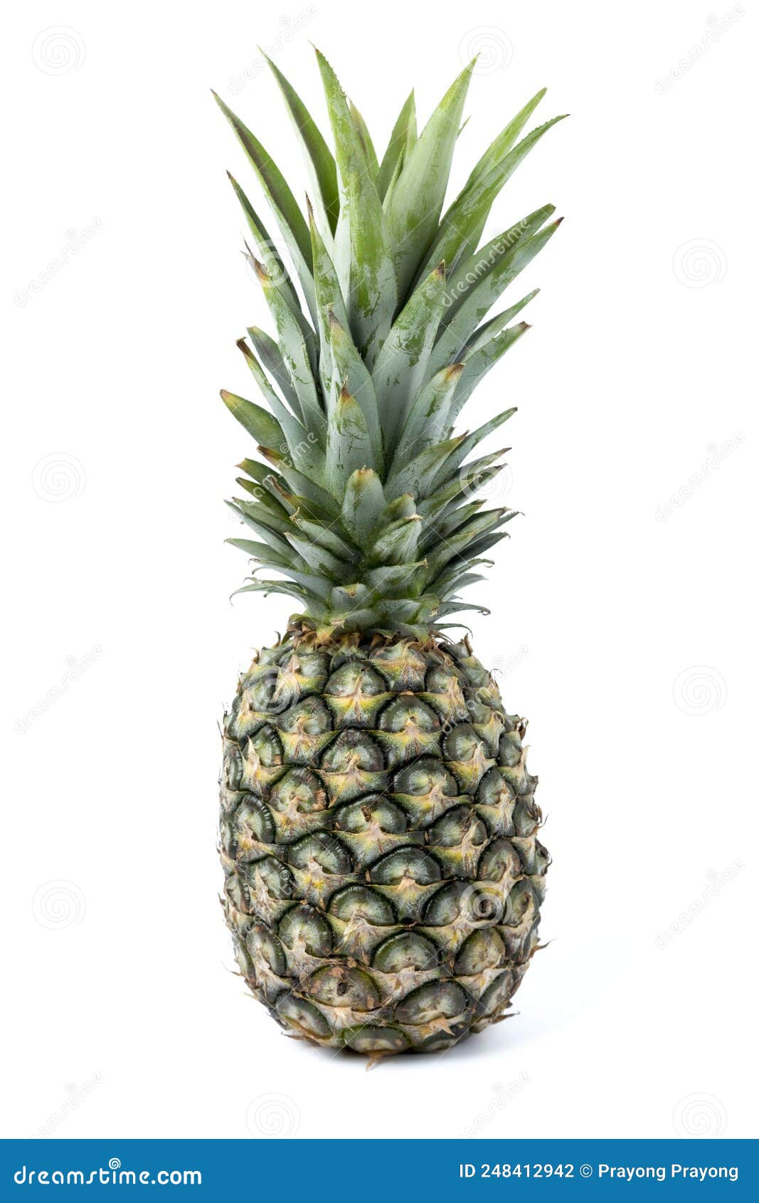 Pineapple a Fruit Rich in Vitamins Stock Photo Image of color