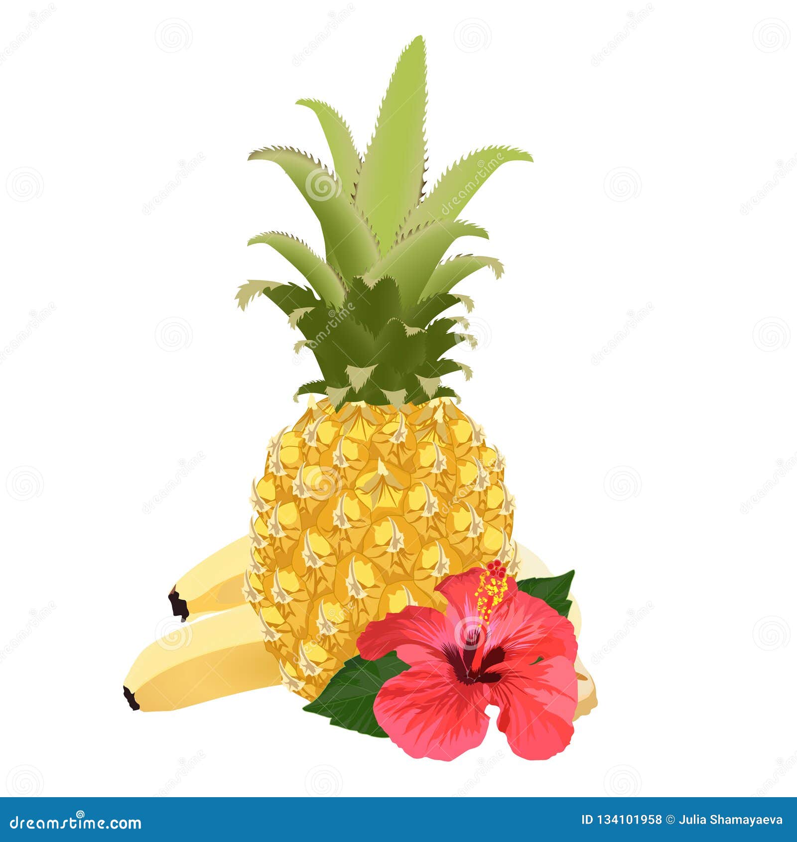 Pineapple, Hibiscus Flower, Bananas. Vector Illustration Stock Vector