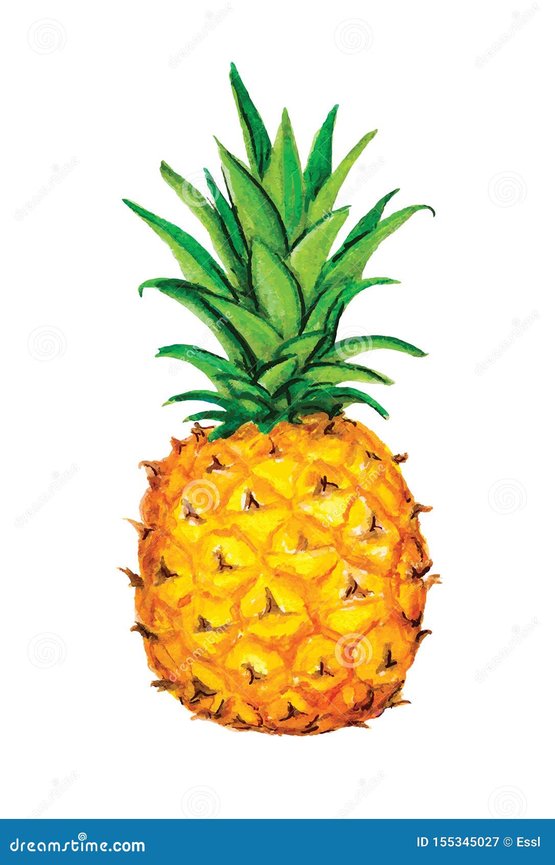 Free Free Fruit Shape Svg 428 SVG PNG EPS DXF File