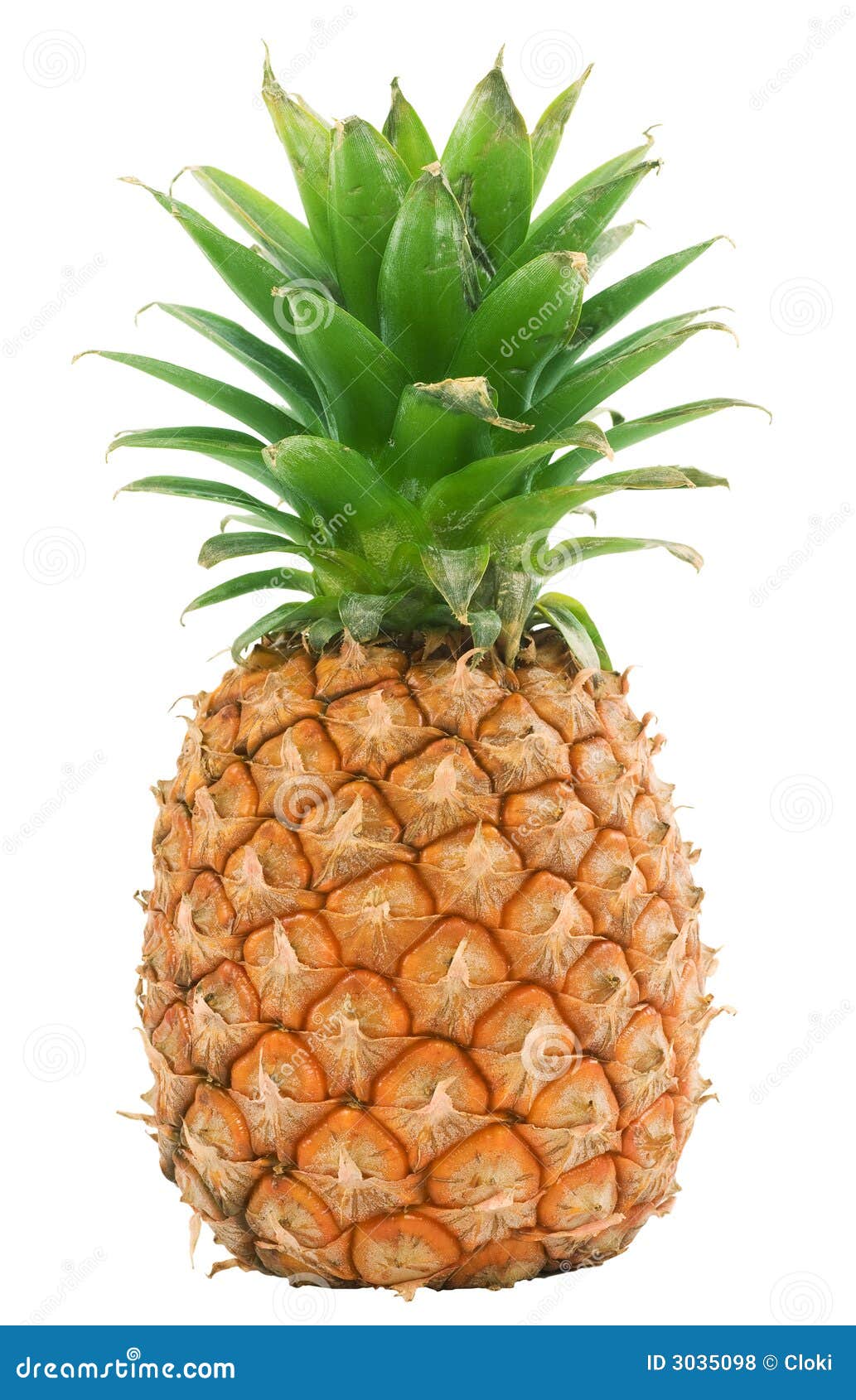Pineapple Isolated Royalty Free Stock Photos - Image: 3035098