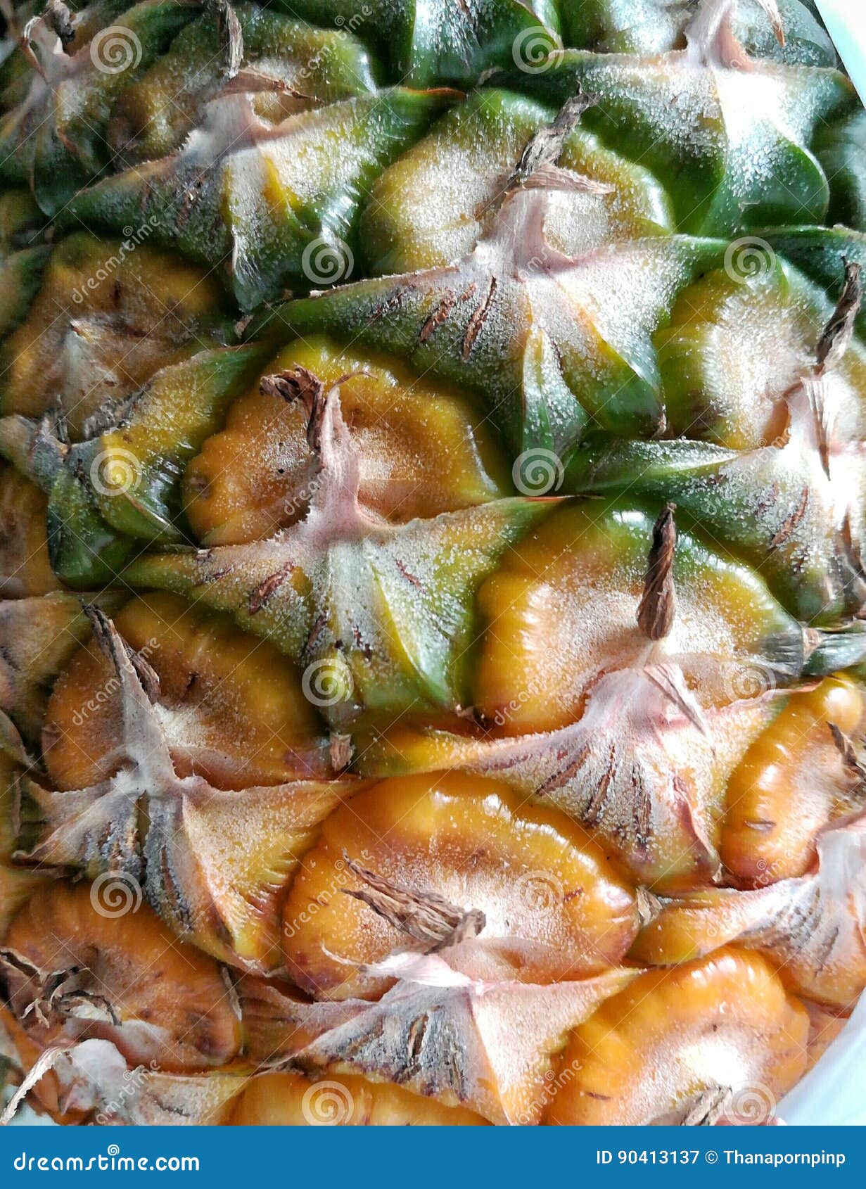 Pineapple peel stock image. Image of diet, natural, sweet 90413137