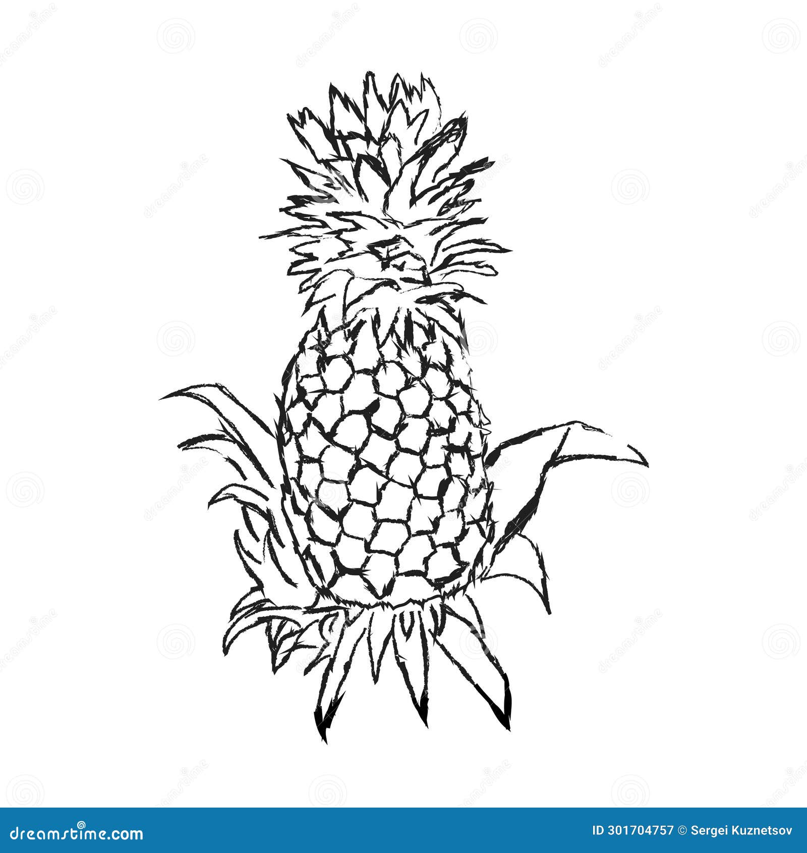 Pineapple plant engraving stock vector. Illustration of pineapple