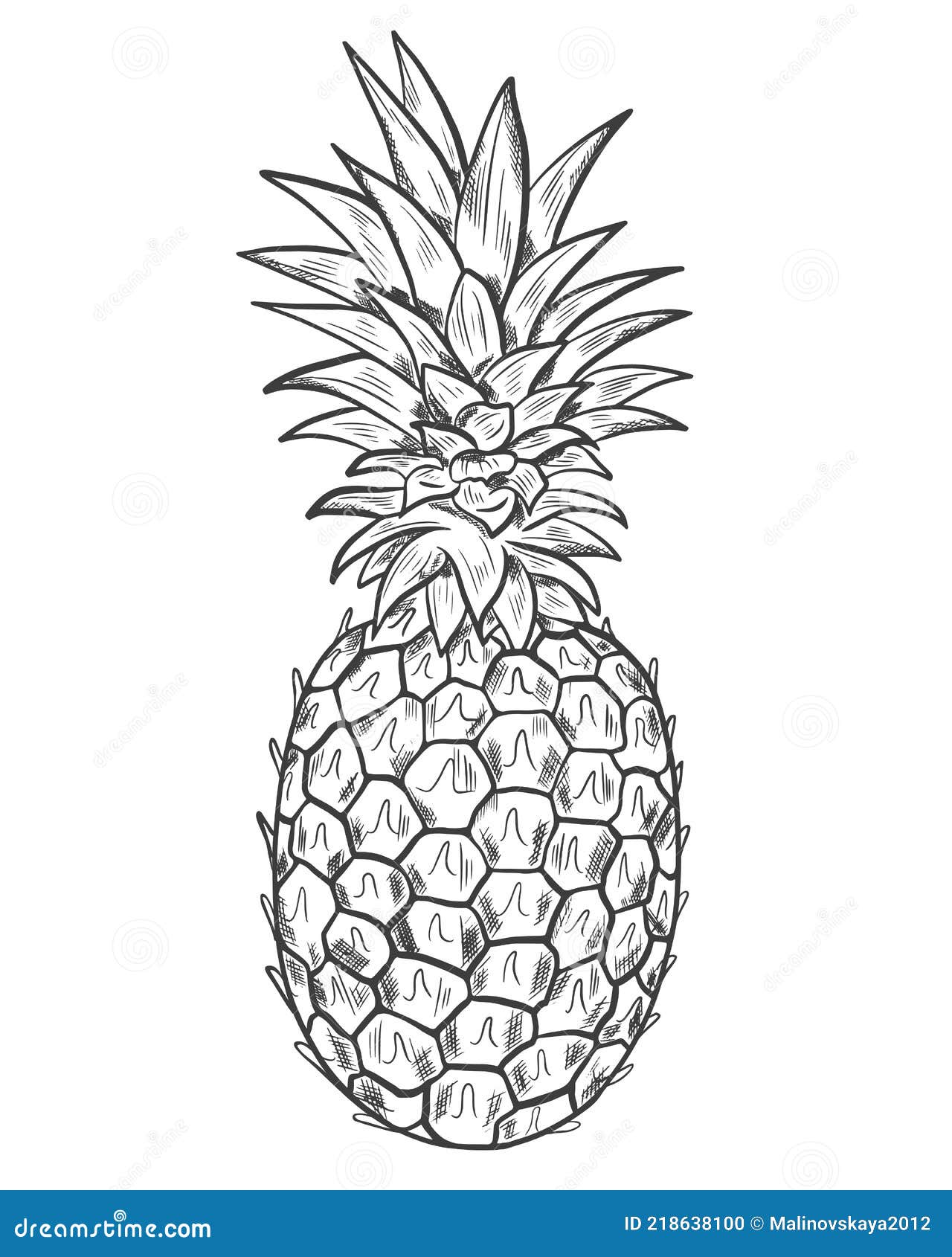 Pineapple Sketch Vector Whole Exotic Fruits Drawing On A White Background Hand Drawing Stock Vector Illustration Of Sweet Vegetarian 218638100