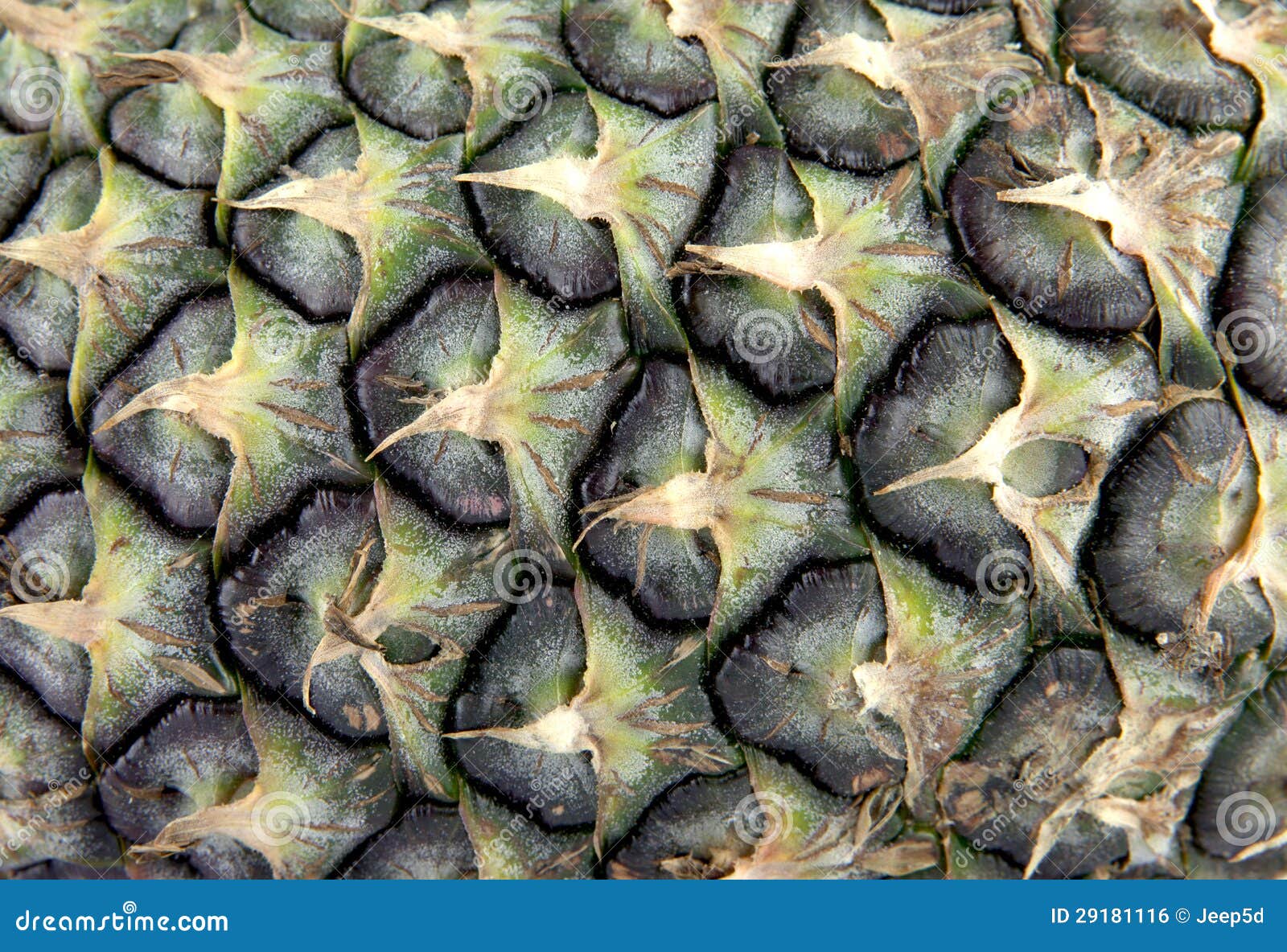 Pineapple skin stock photo. Image of bulb, objects, green 29181116
