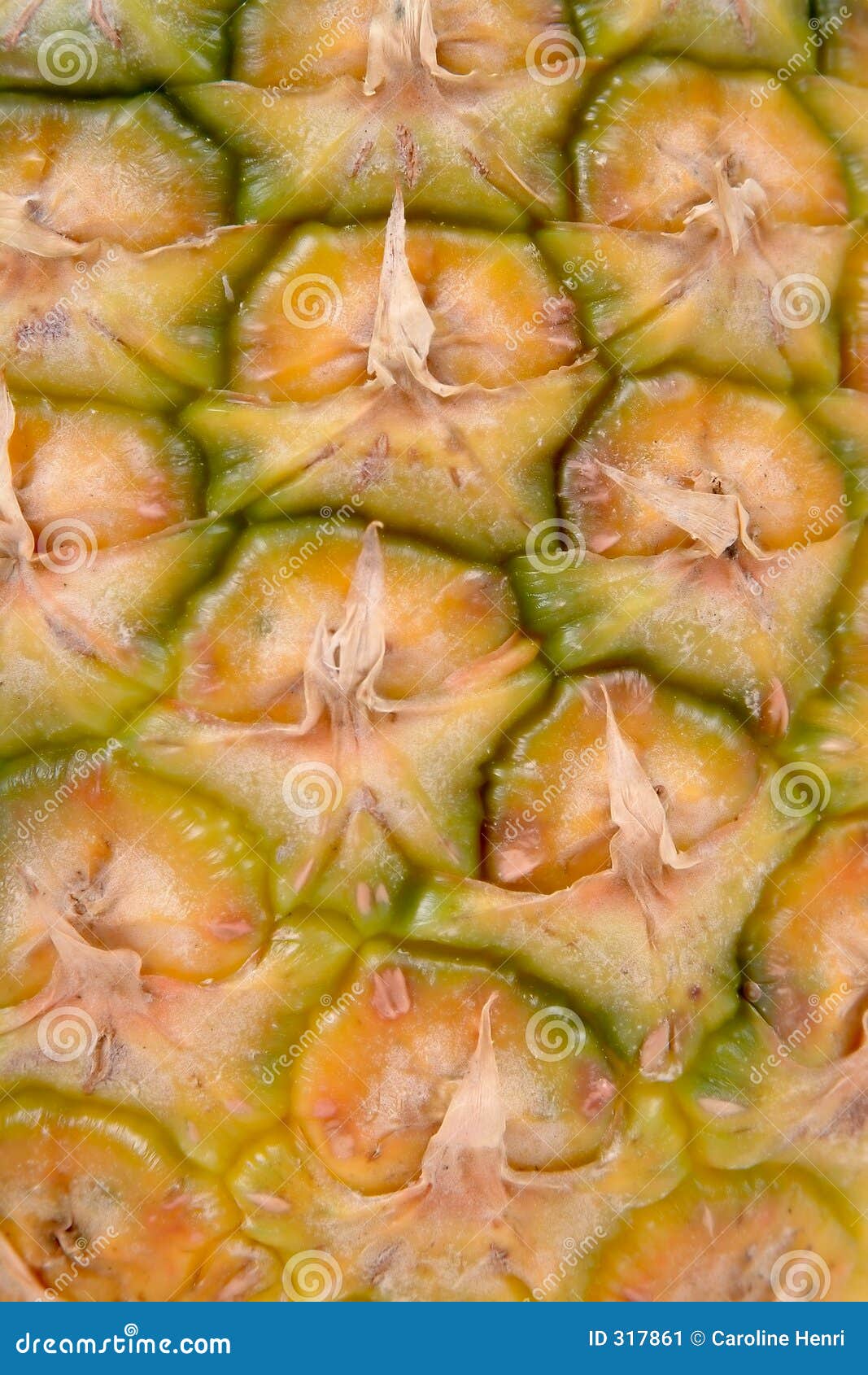 Pineapple skin stock image. Image of background, pineapple 317861