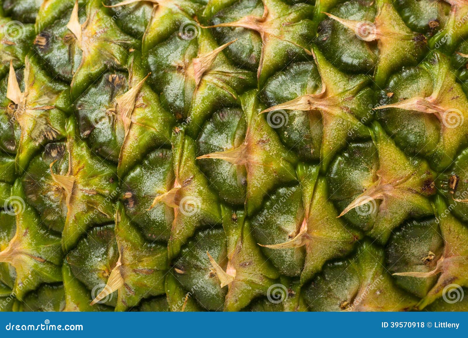 Pineapple Skin stock photo. Image of brown, pattern, macro 39570918
