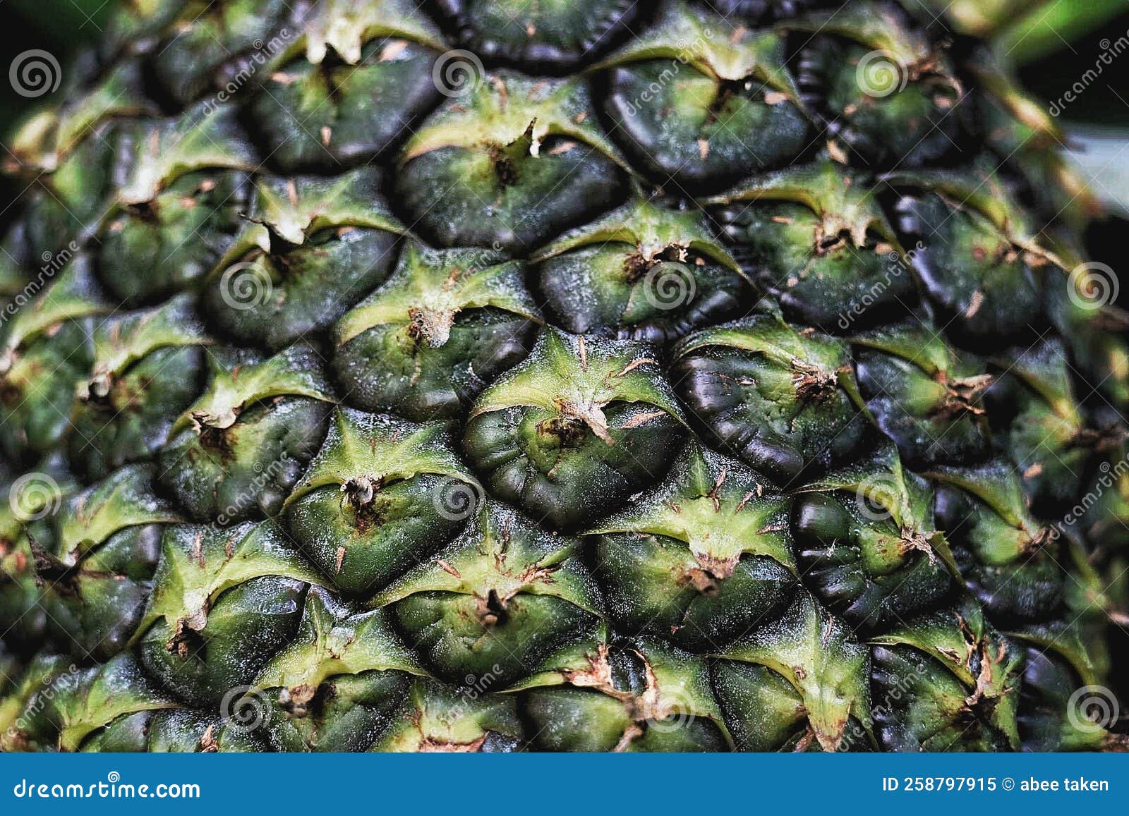 Pineapple skin texture stock image. Image of fresh, bush 258797915