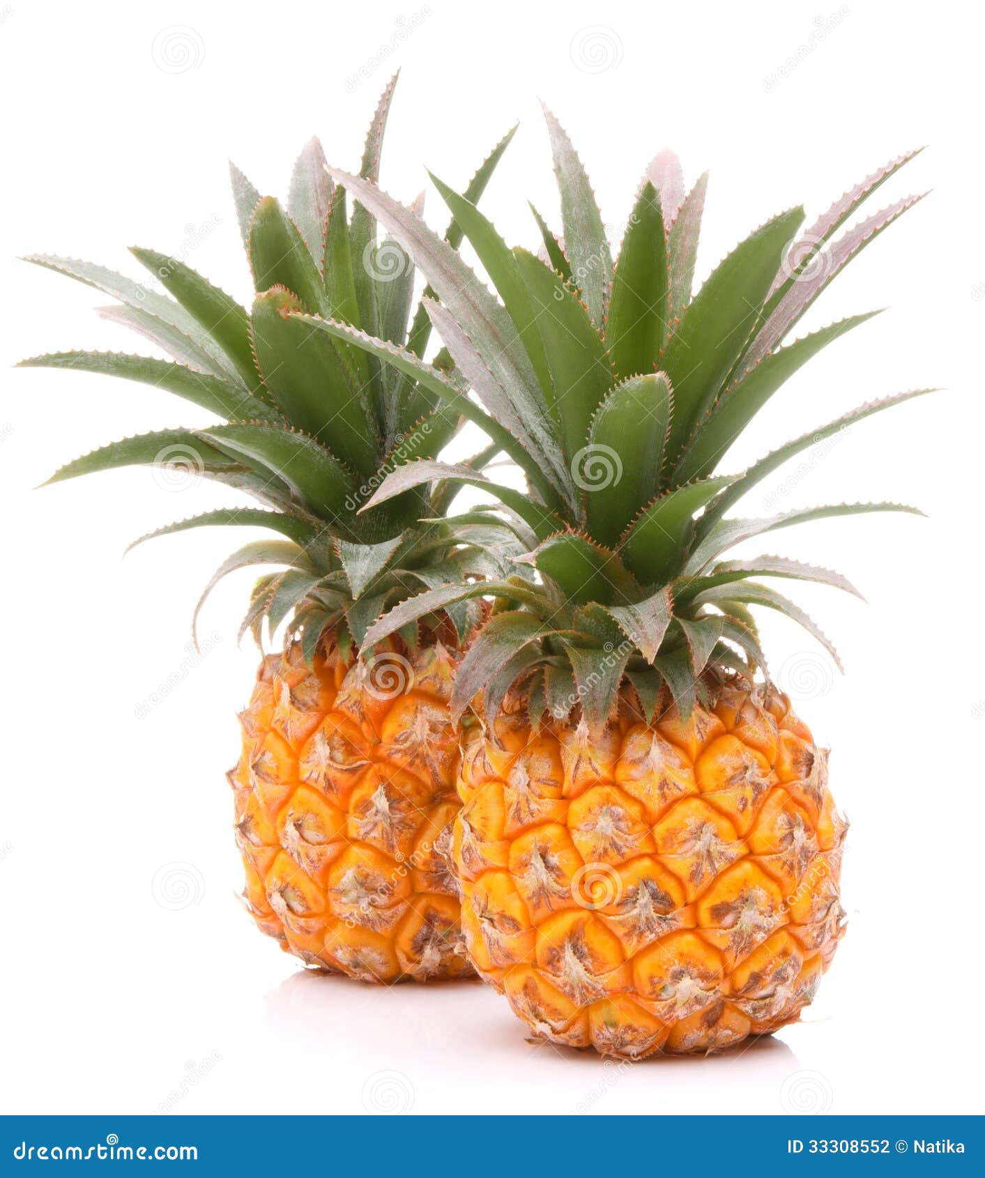 Pineapple Tropical Fruit or Ananas Stock Photo Image of pineapple