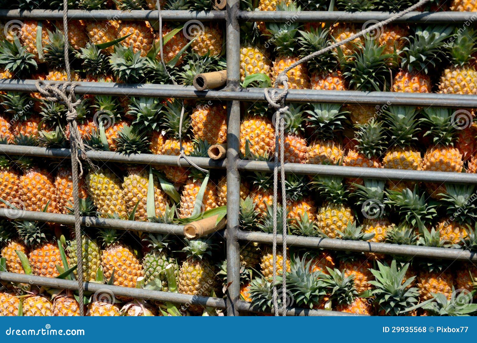 Pineapple in truck stock photo. Image of product, background 29935568