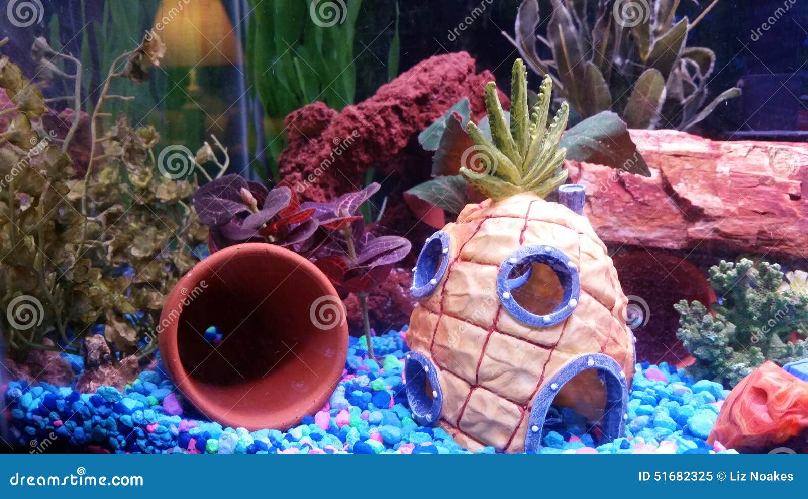 Pineapple under the sea stock image. Image of pineapple 51682325