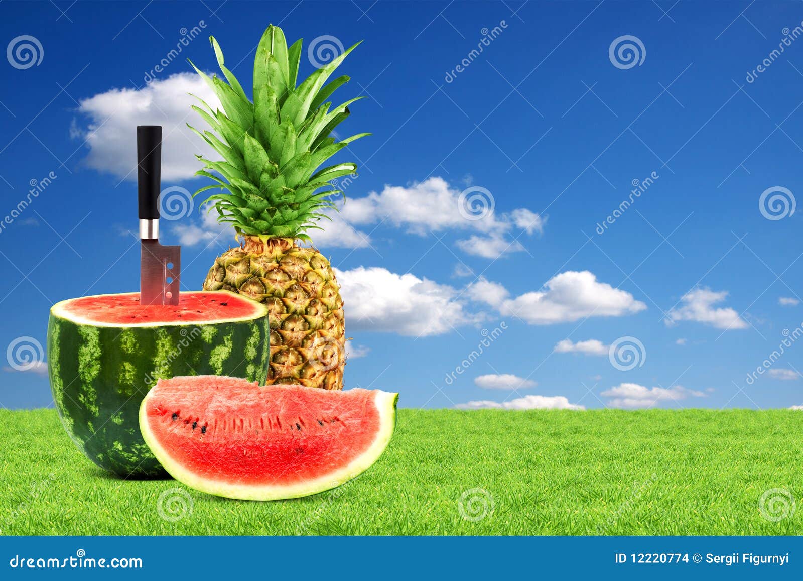 Pineapple and watermelon stock photo. Image of eating 12220774