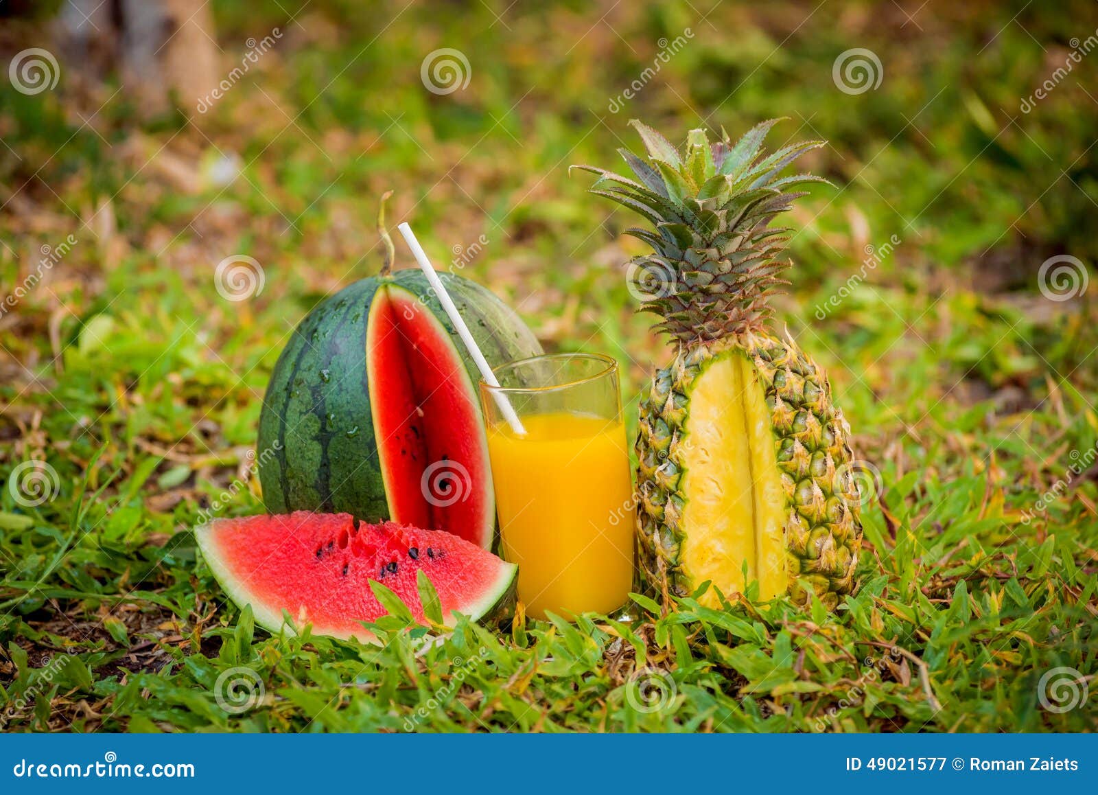 Pineapple and watermelon stock image. Image of juicy 49021577