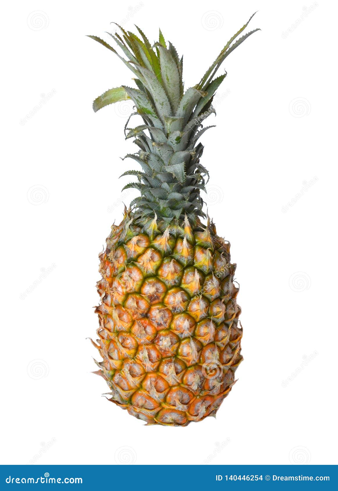 A Pineapple on White Background. Stock Photo - Image of nuts, drawing:  140446254