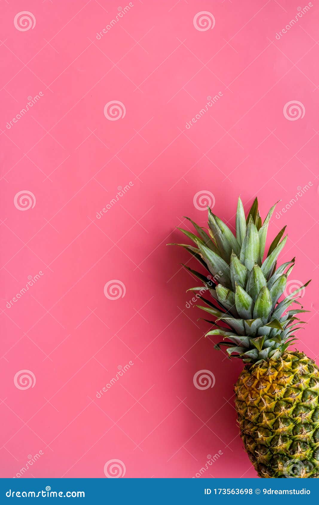 Pineapple Whole Fruit on Bright Pink Background Topdown Copy Space