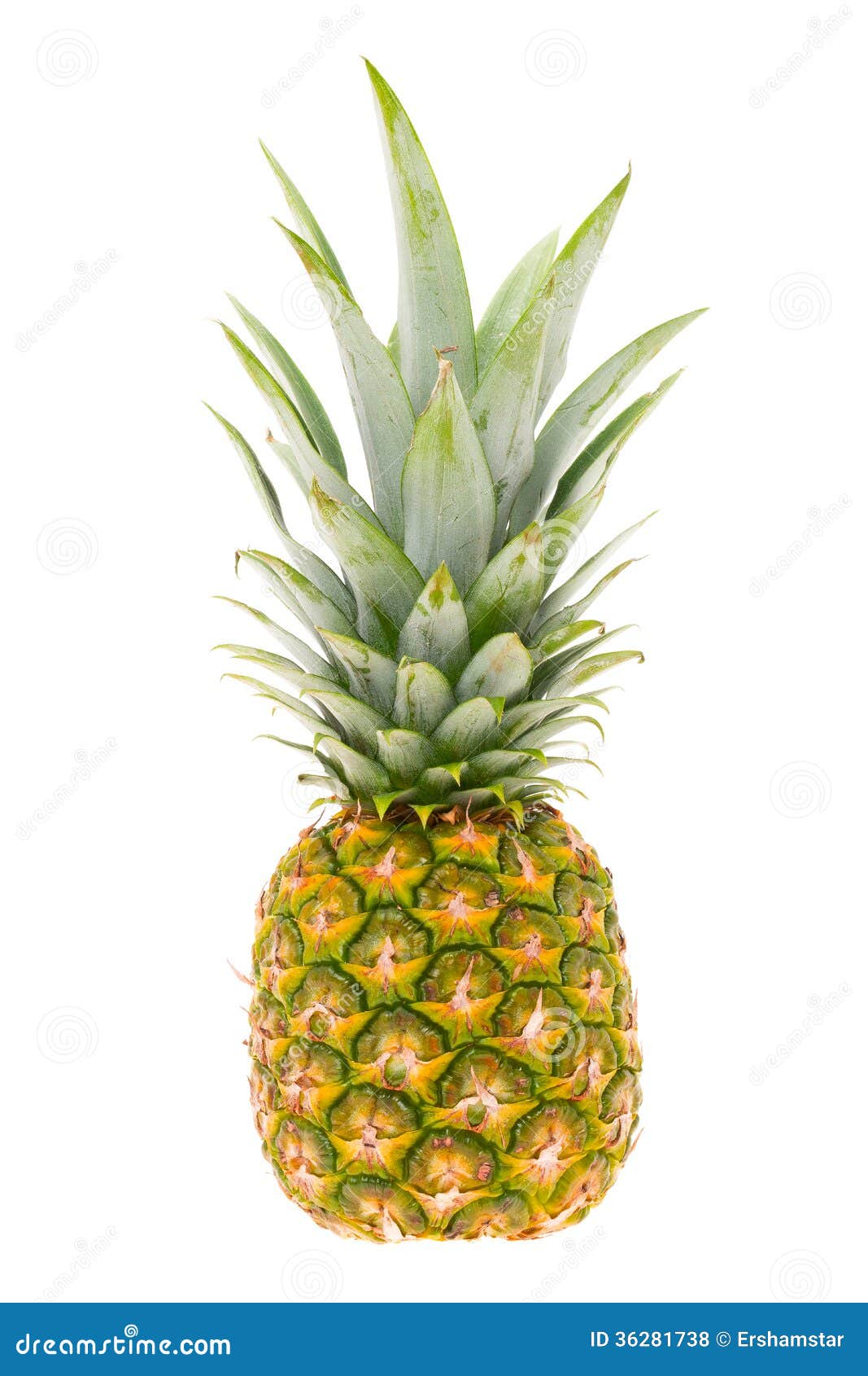 Pineapple stock photo. Image of sweet, length, color - 36281738
