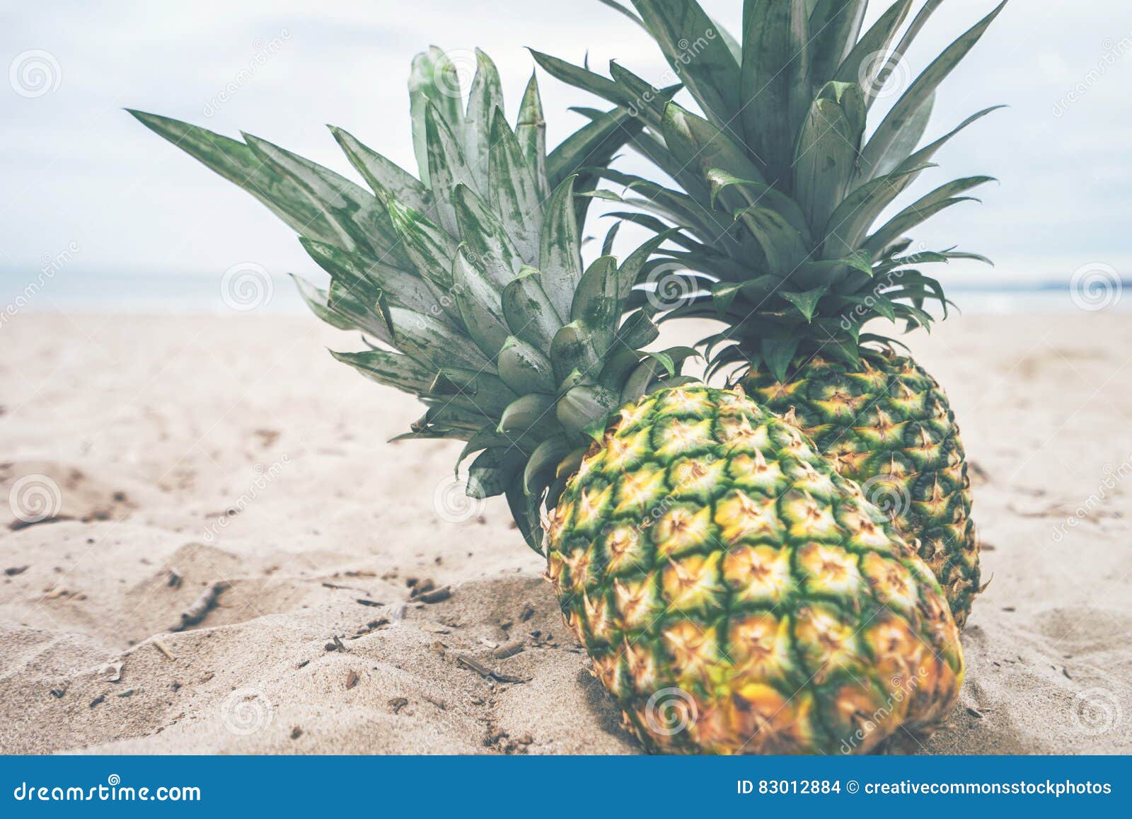 Pineapples On A Beach Picture. Image 83012884