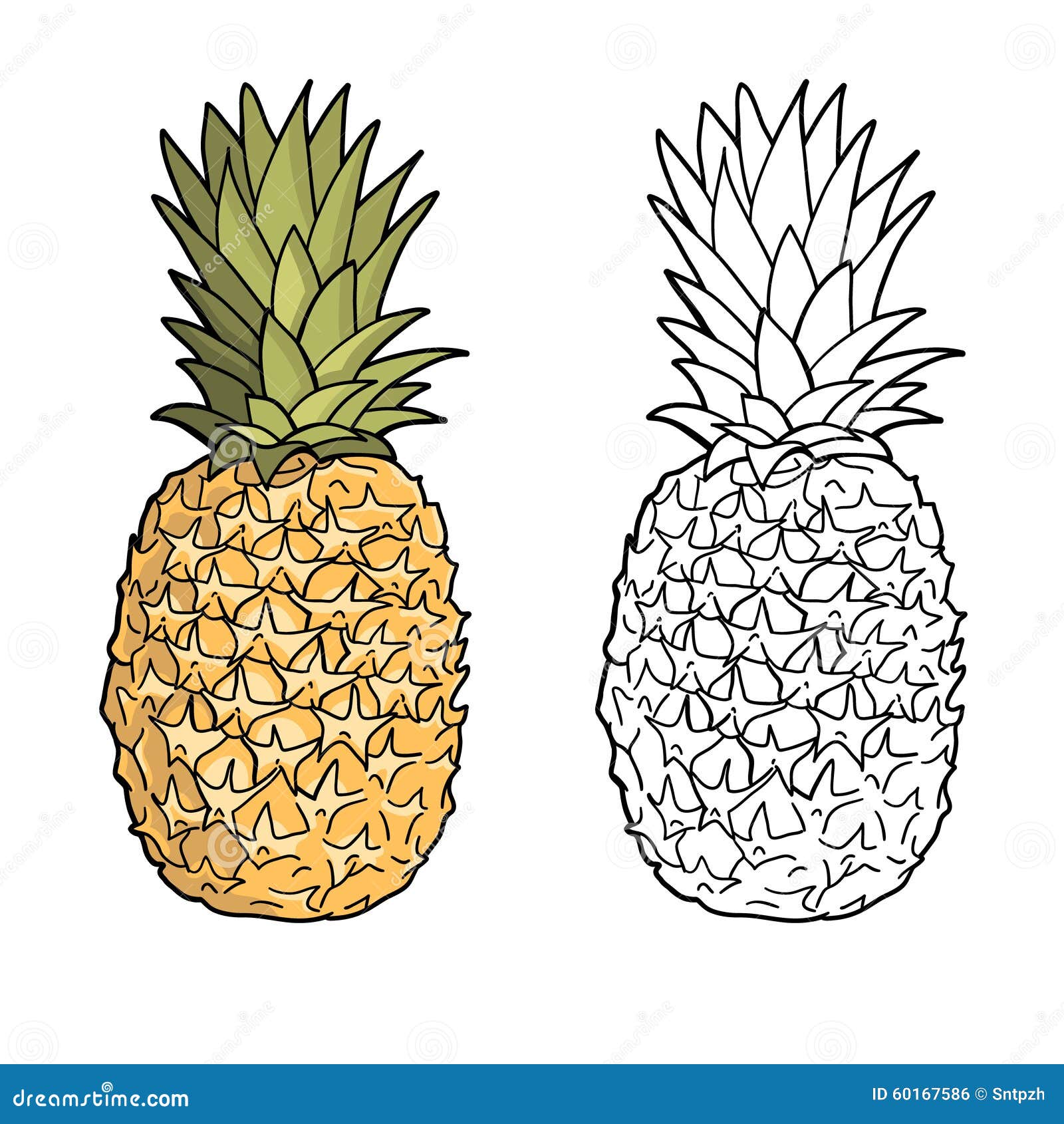 pineapples. graphic stylized drawing.