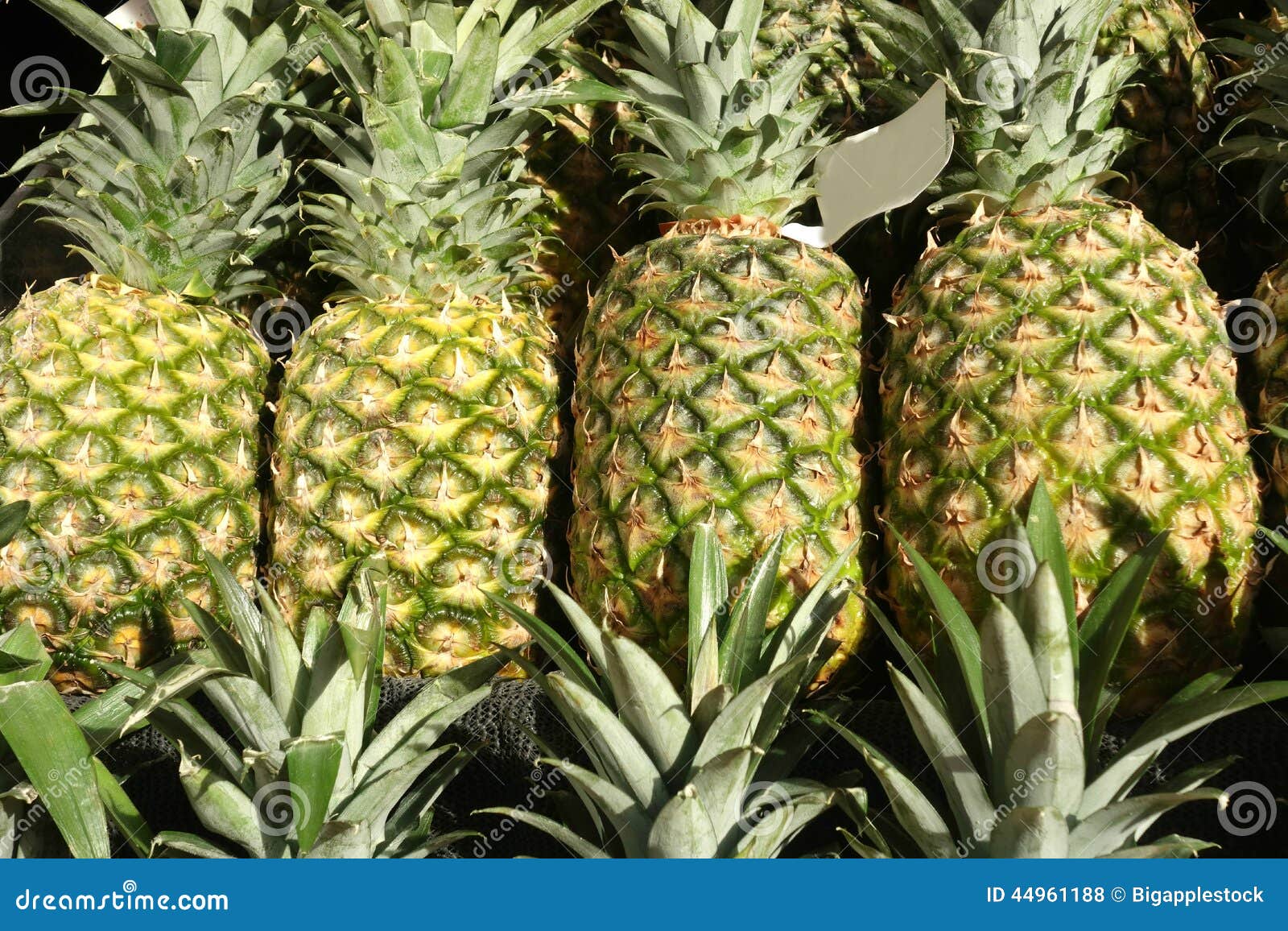 Pineapples stock photo. Image of food, produce, healthy 44961188