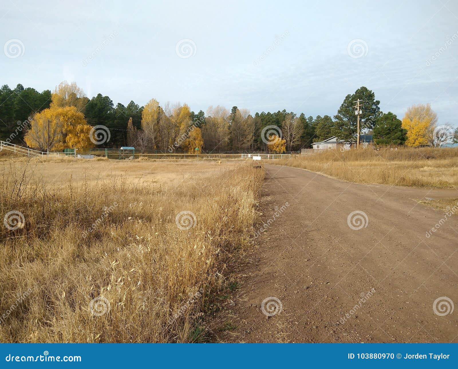 Arizona RoyaltyFree Stock Image 26161360