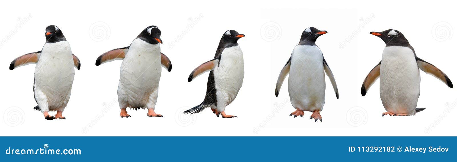 Jogo Labirinto Com Pinguins Gelo Ajude Pinguim Bebê Chegar Sua