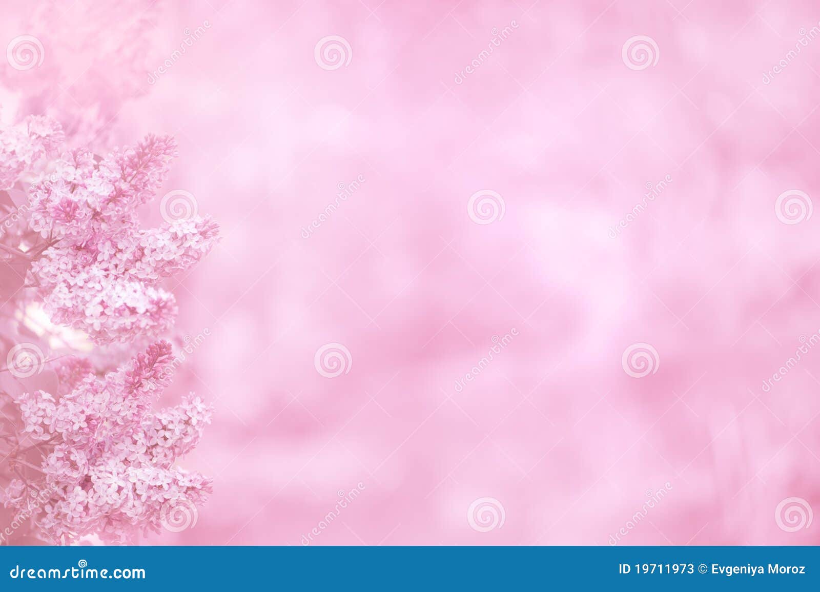 Pink Background Stock Illustrations – 2,657,320 Pink Background