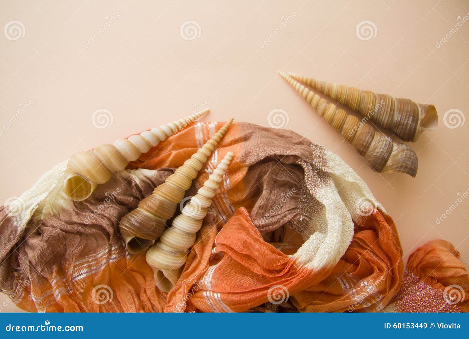 Pink Background with Various Shells Stock Image - Image of flower