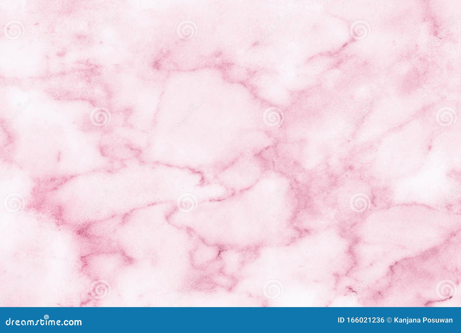 Pink Backgrounds Marble Wall Surface Gray Background . Stock Photo