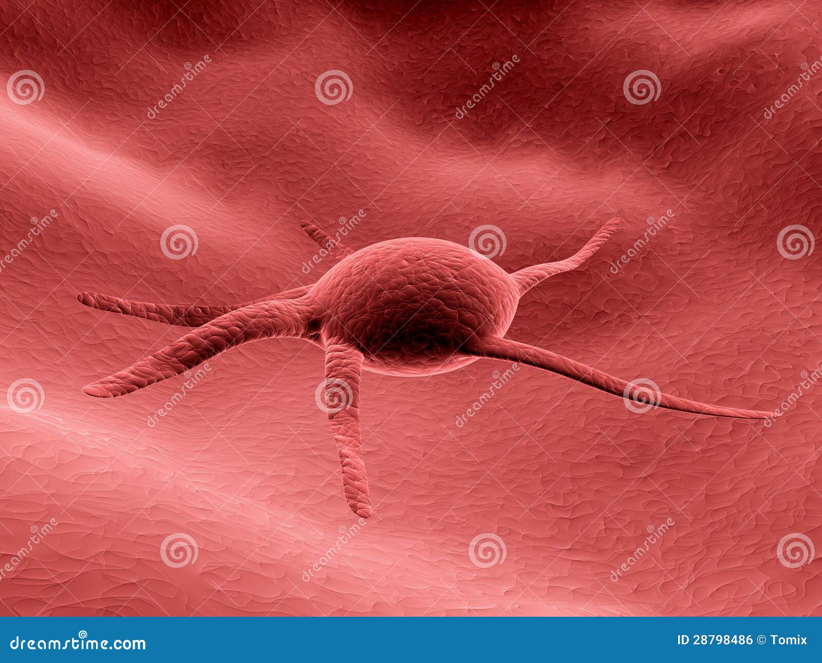 Pink Bacteria RoyaltyFree Stock Photography 28794665