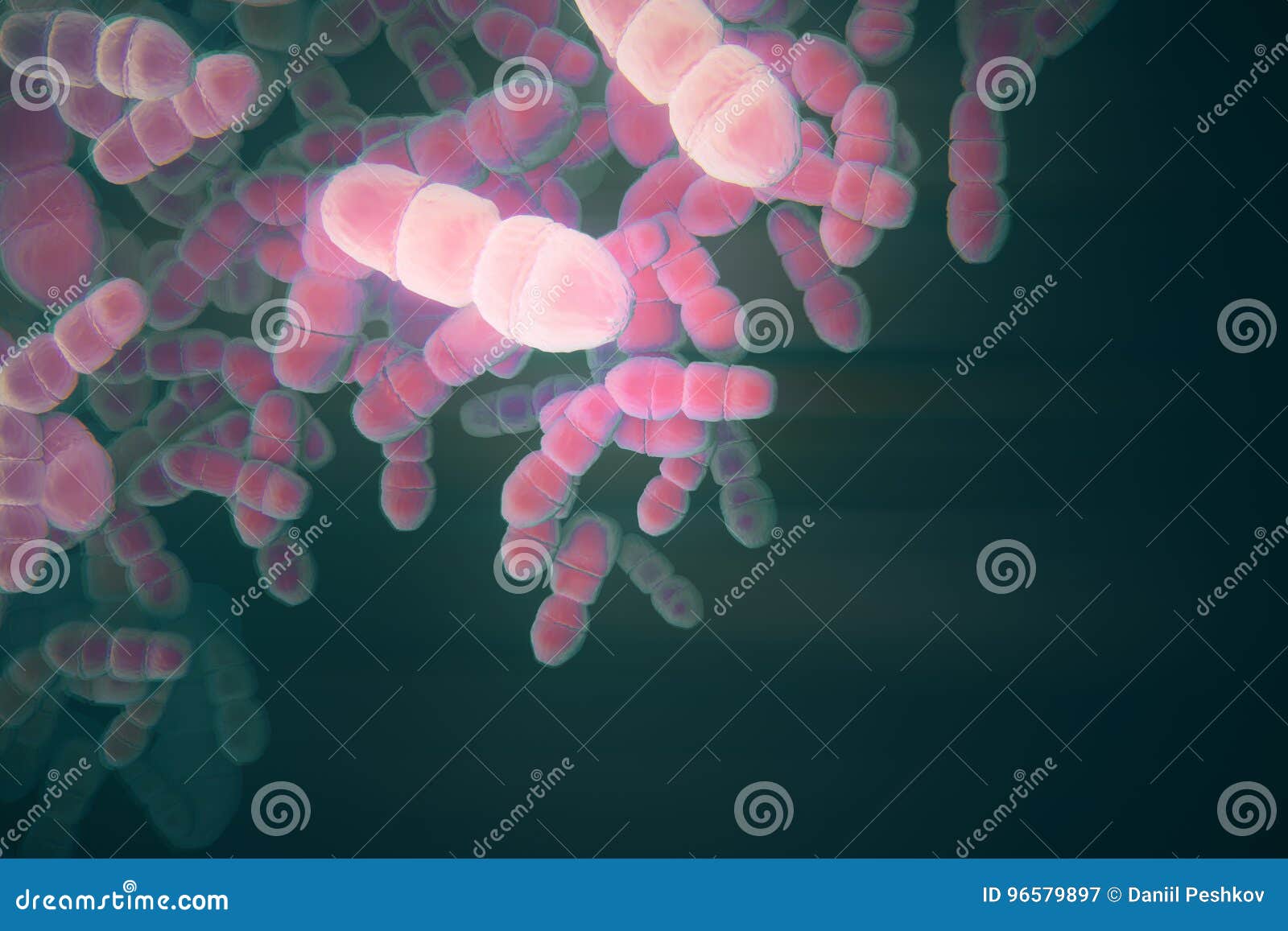 Pink bacteria wallpaper stock illustration. Illustration of healthcare
