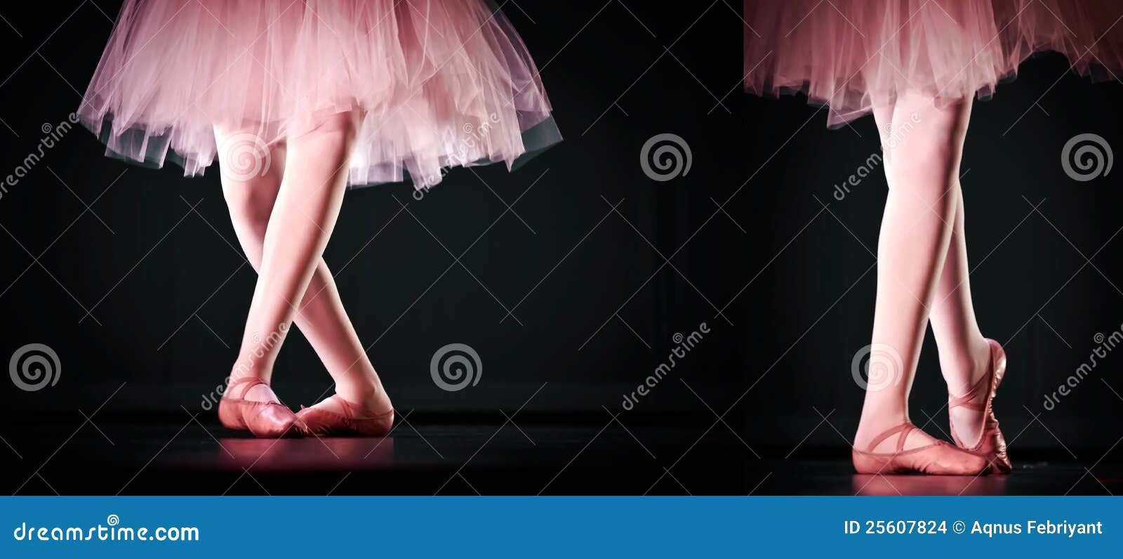 Pink Ballerina stock photo. Image of lake, woman, shoes 25607824