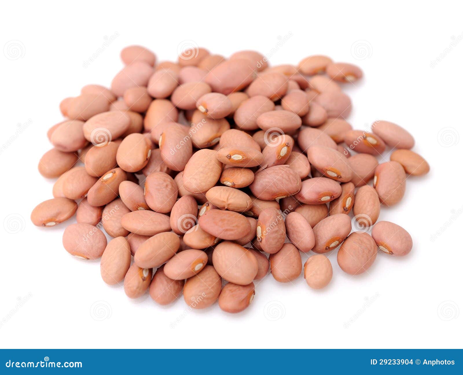 Pink beans stock photo. Image of nature, restaurant, snack 29233904