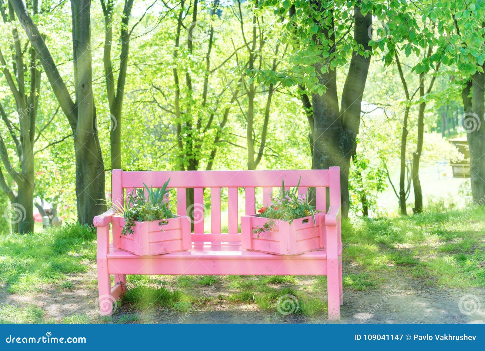 Pink Bench in the Green Park Stock Image Image of relax, chair 109041147