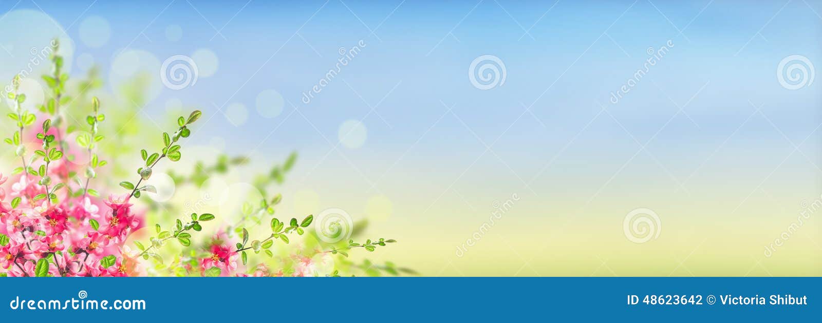 Pink Blooming Flowers Bush On Sunny Landscape Background 