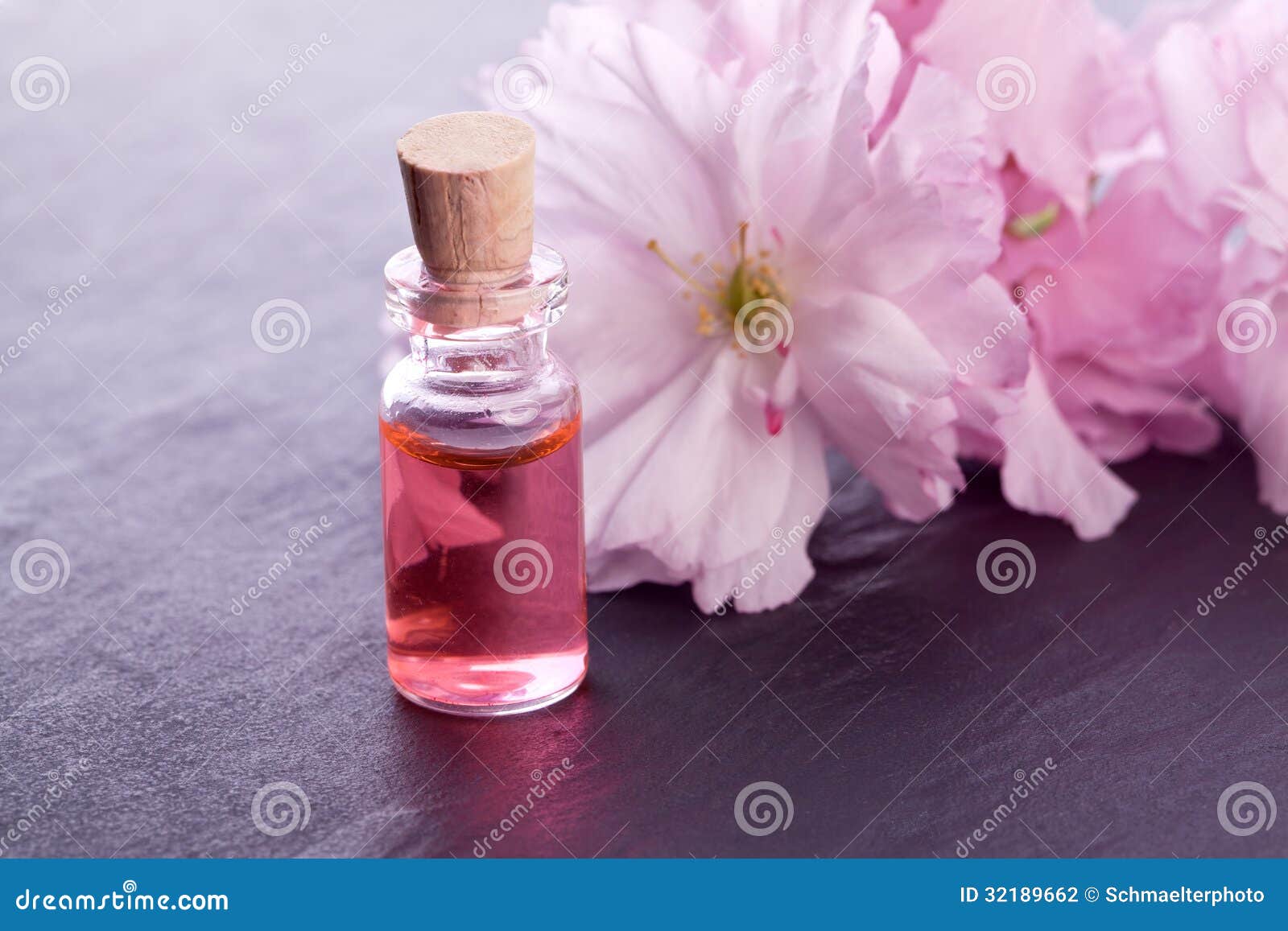 Pink Blossom Flower and Aroma Stock Photo Image of organic, plant