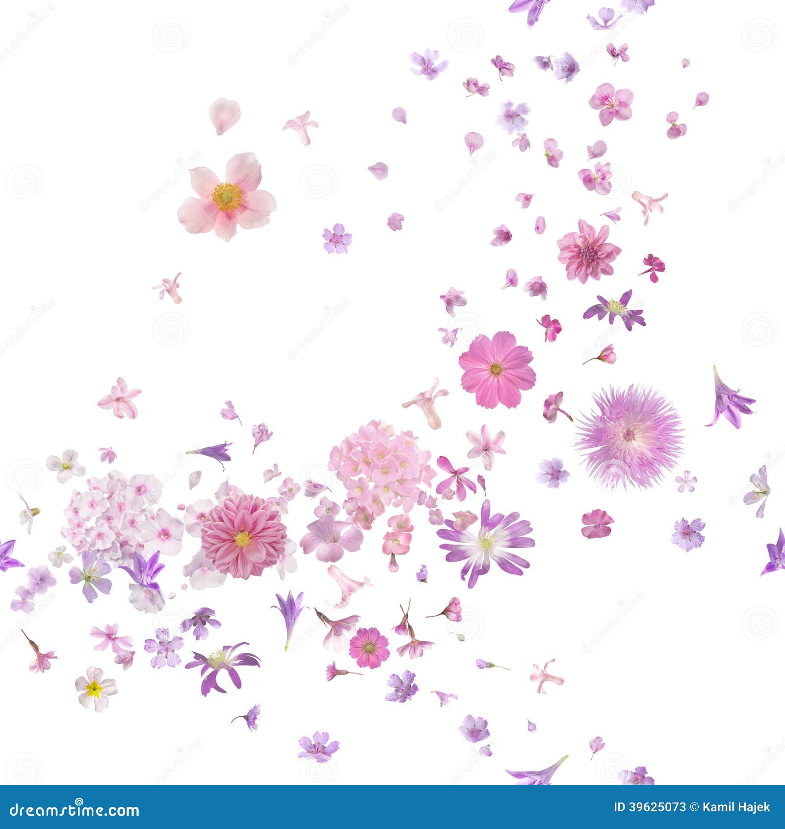 pink blossom flower buds breeze