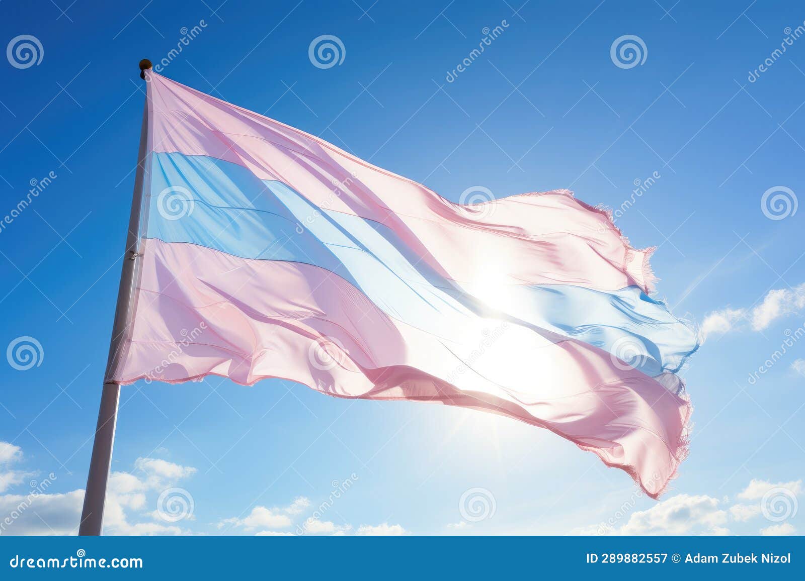 A Pink and Blue Flag Flying in the Air Stock Illustration