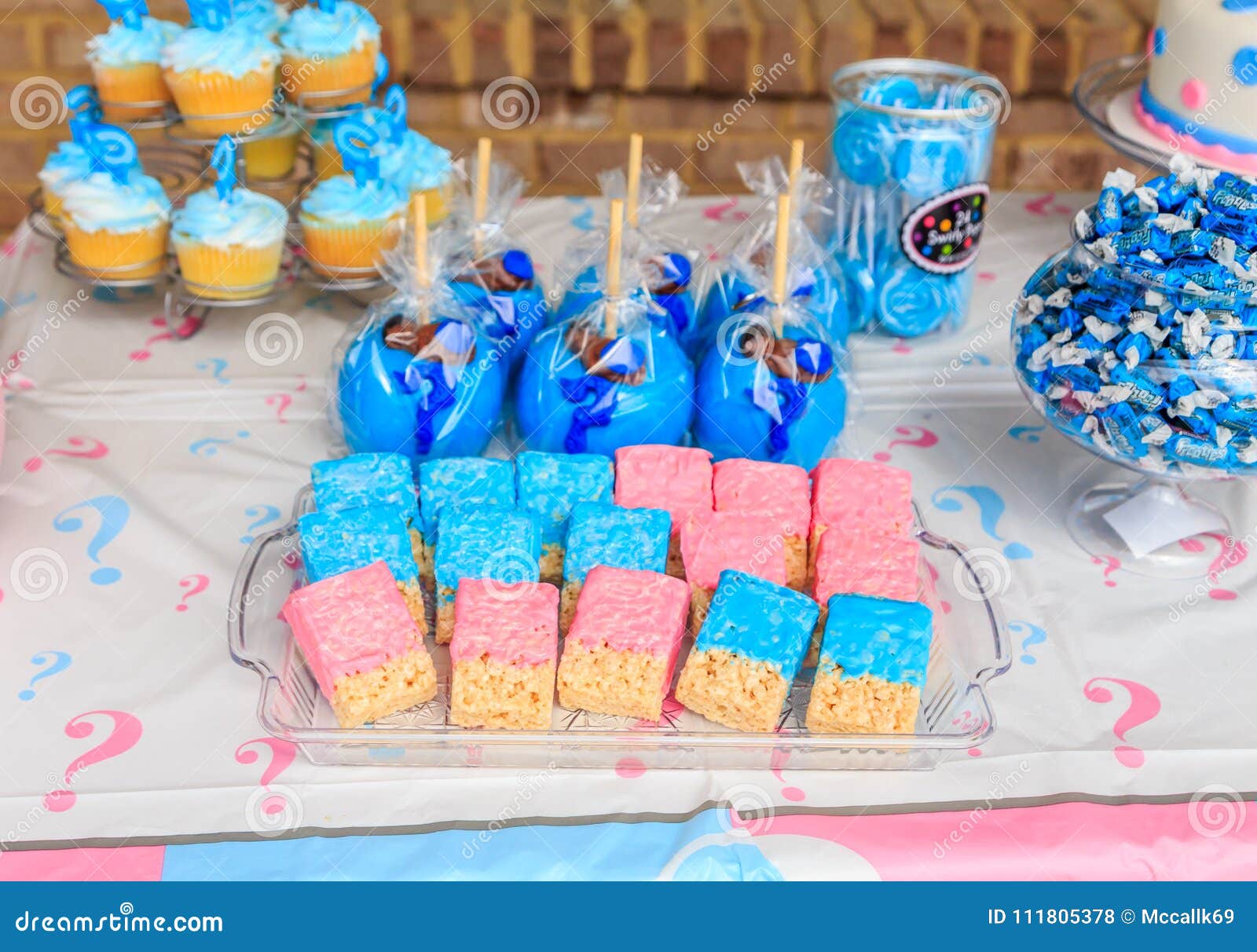 Pink and Blue, Outdoor Gender Reveal Party Decorations Editorial Stock  Photo - Image of girl, gender: 111805378