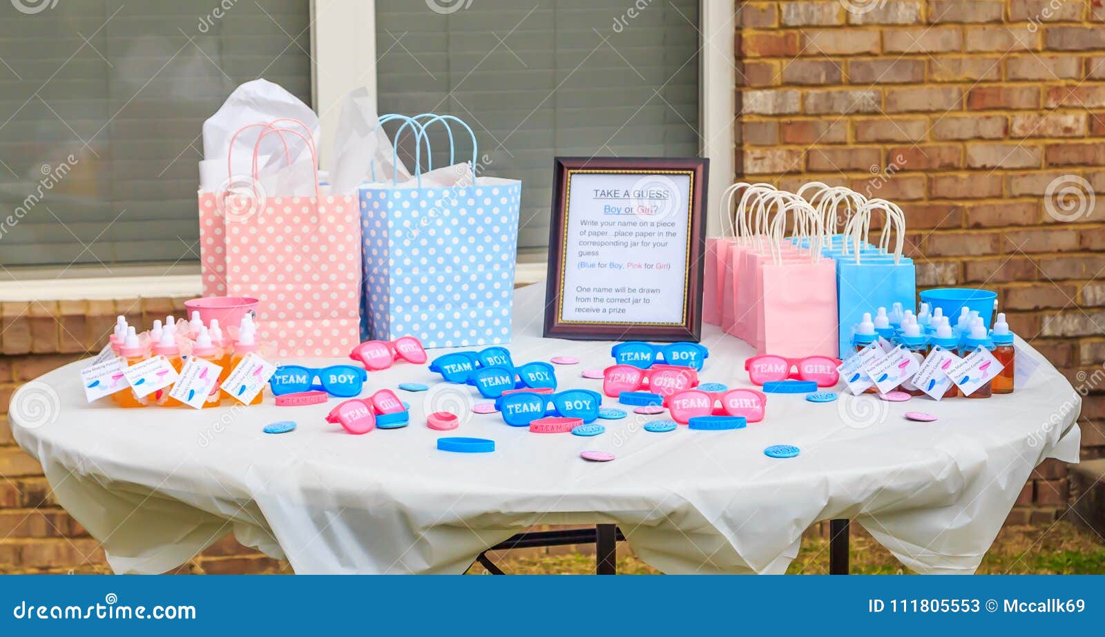 Pink and Blue, Outdoor Gender Reveal Party Decorations Editorial Stock  Photo - Image of girl, gender: 111805553