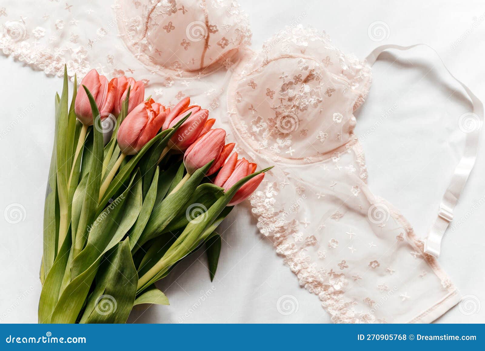 Pink Bra, Pink Tulip on the Bed. Women Tender Lingerie, Underwear. Top ...