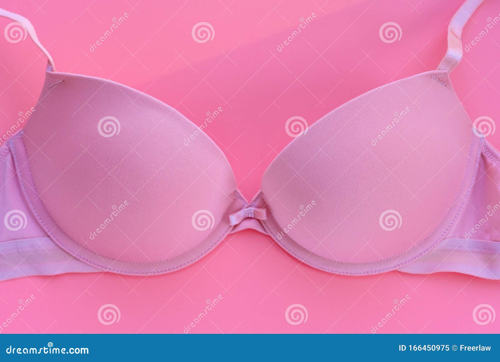 Pink Bra for Women Close Up on a Pink Background Stock Image - Image of ...