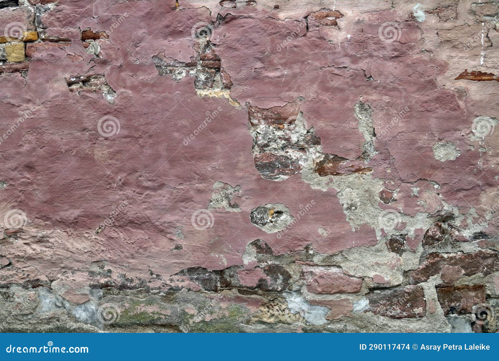 A Pink Brick Wall with Crumbling and Cracked Plaster Stock Photo