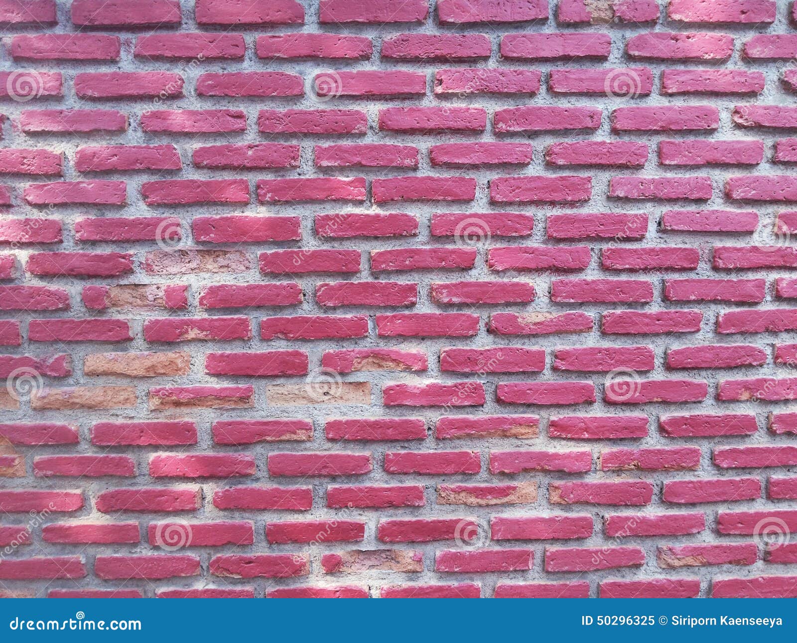 Pink Brick Wall Texture Background Stock Image Image of home