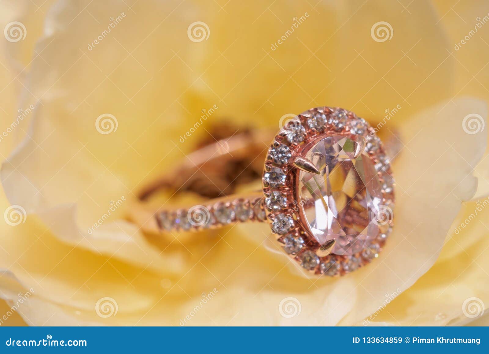 Pink Diamond Ring on Rose Flower Background Stock Image Image of love