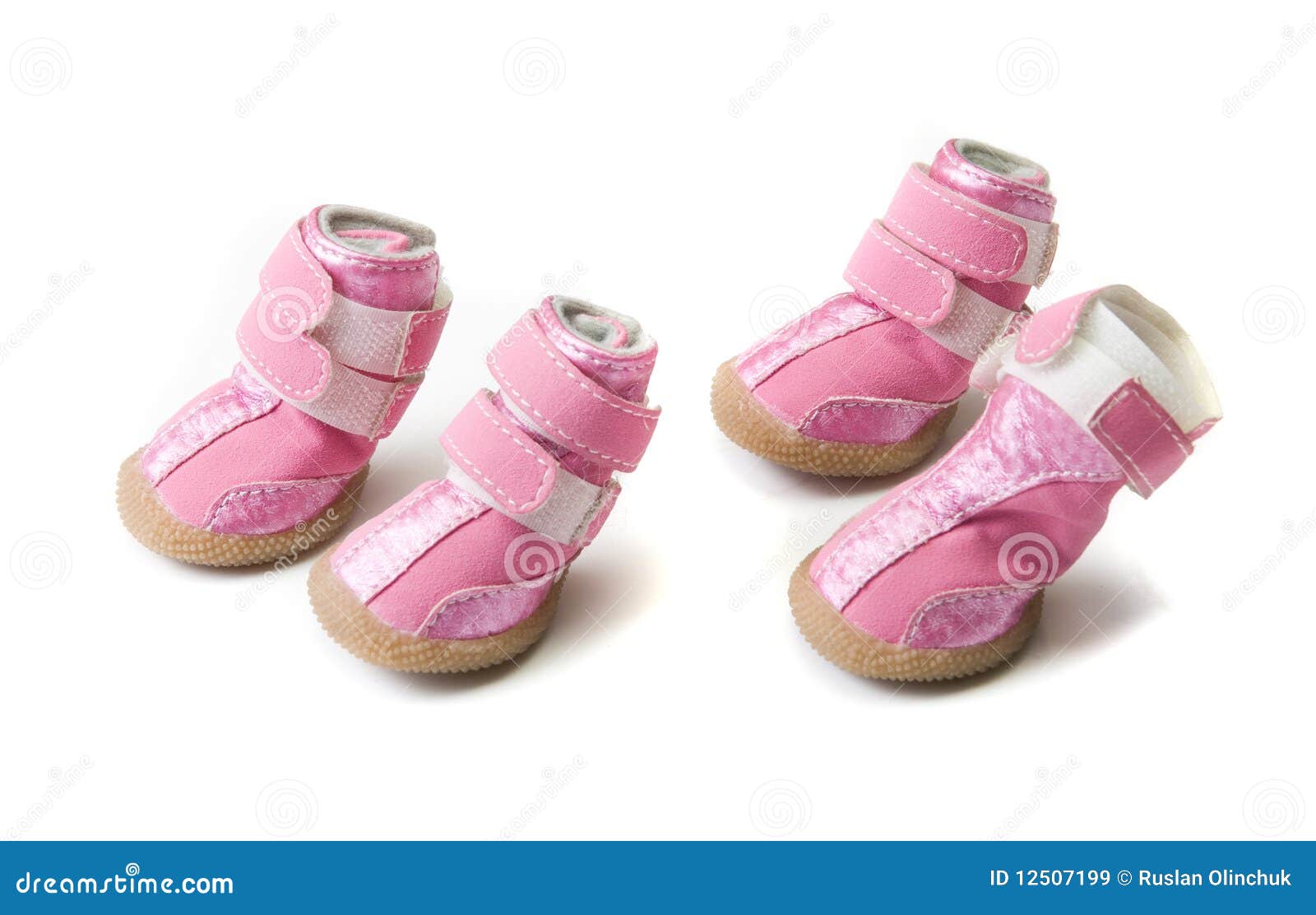 Pink Dogs boots stock image. Image of running, expression 12507199