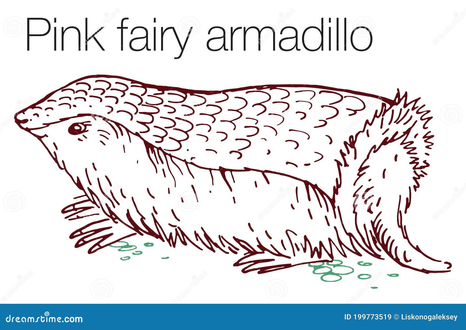 Pink Fairy Armadillo Hand Drawn Vector Illustration Stock Vector