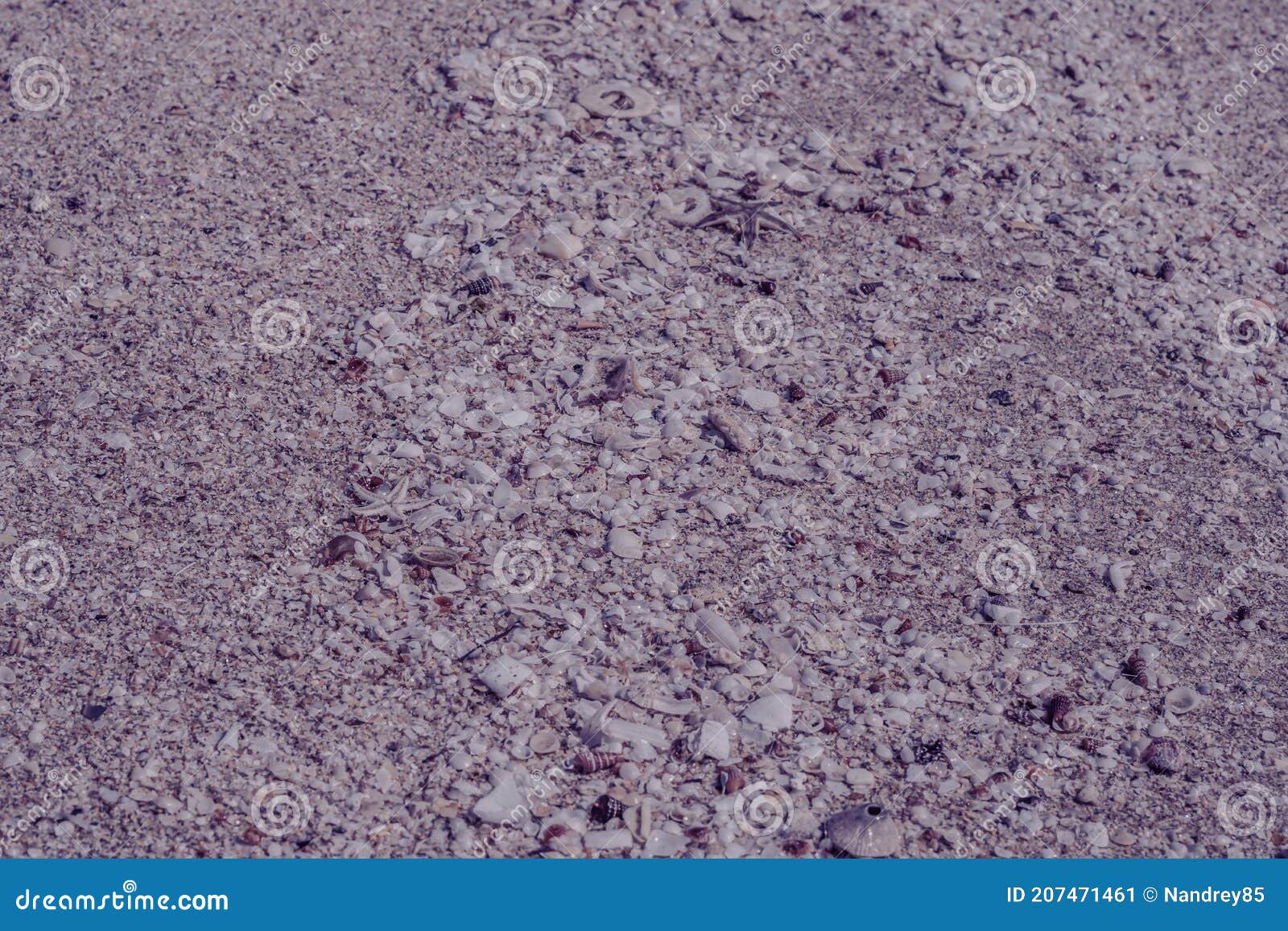 pink fawn brown beautiful nature background  screensaver web wallpaper for resort spa relax. a lot small starfish