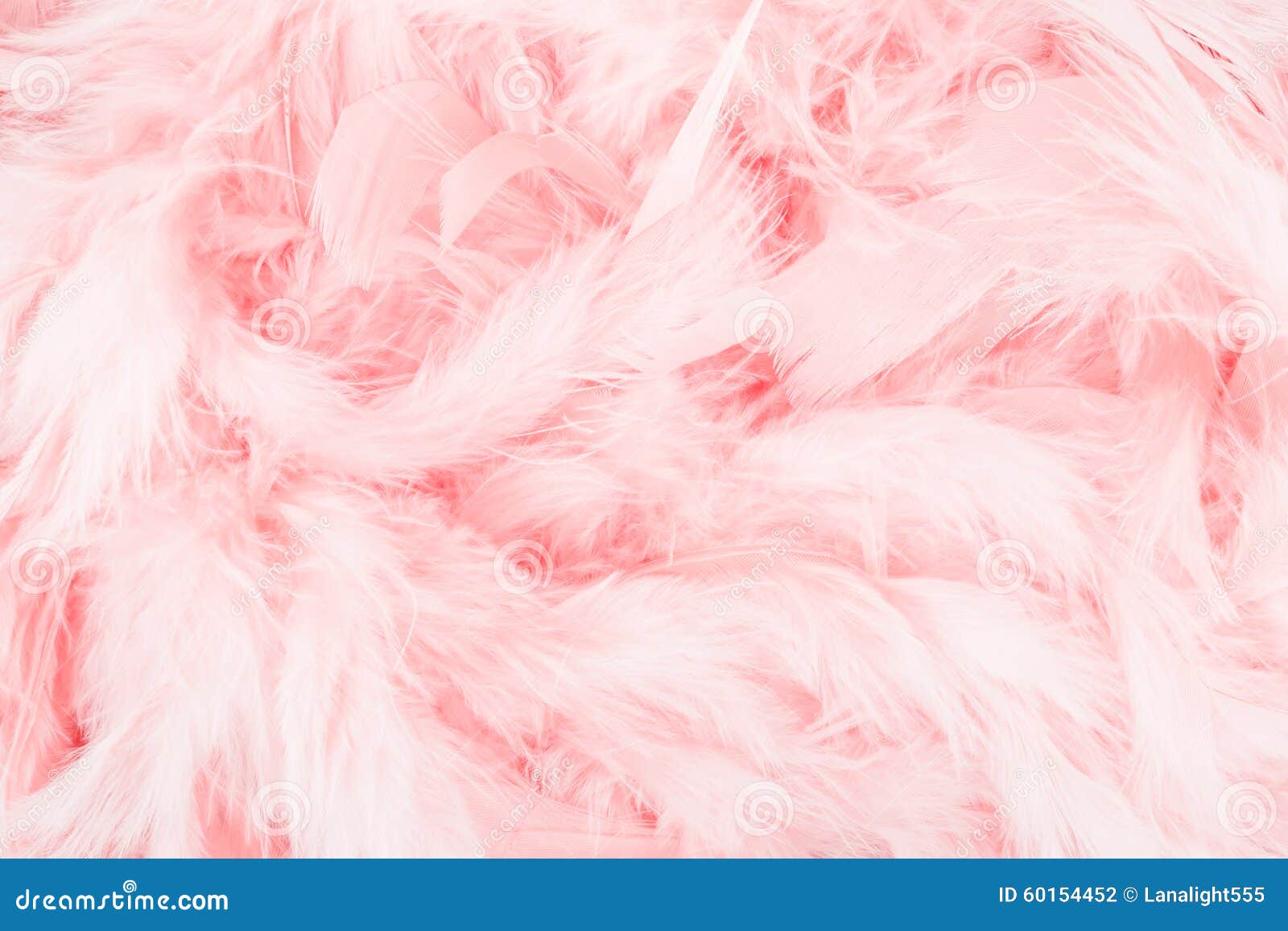Pink feather background stock photo. Image of light, pattern - 60154452