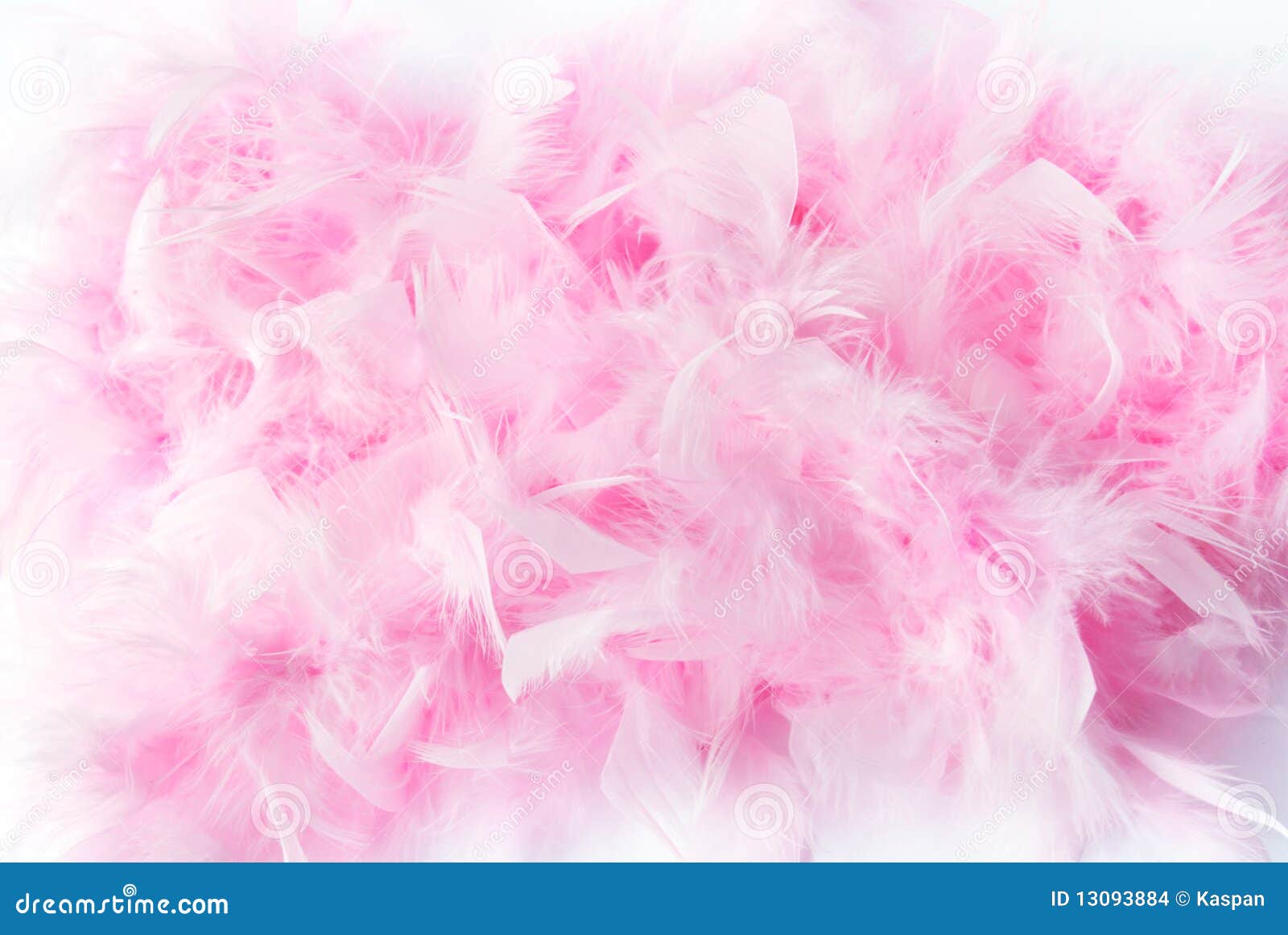 Pink Feather Boa Frame On White Background Stock Photo - Download