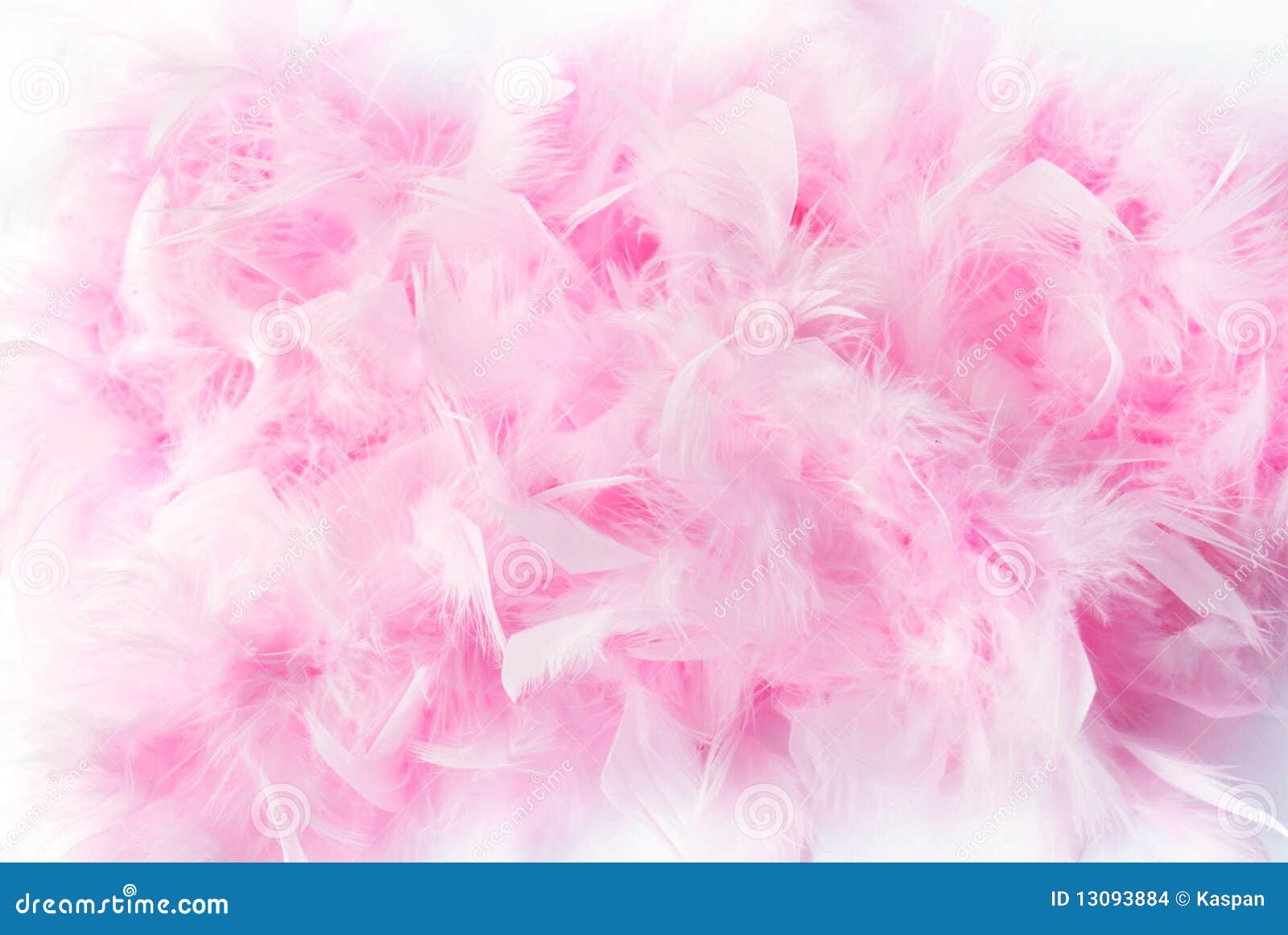Pink feather boa stock photo. Image of macro, glamour 13093884