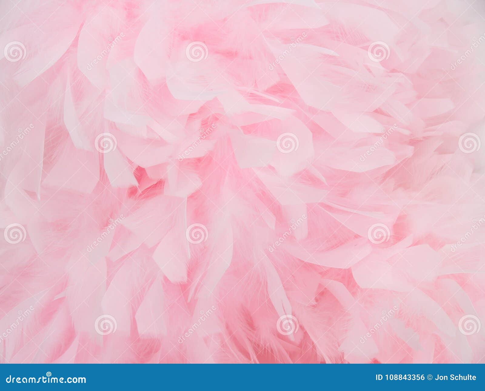 Pink Feather Boa stock photo. Image of pink, element 108843356